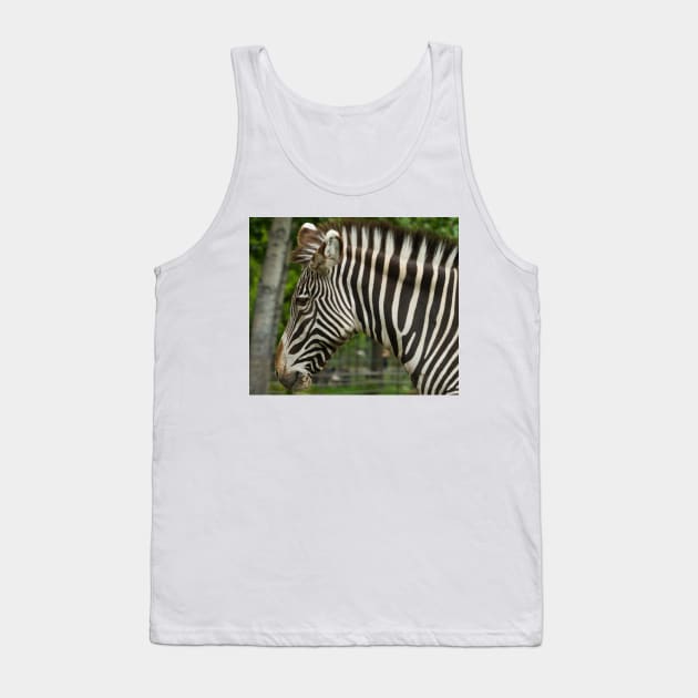 Zebra Head shot Tank Top by StevenElliot